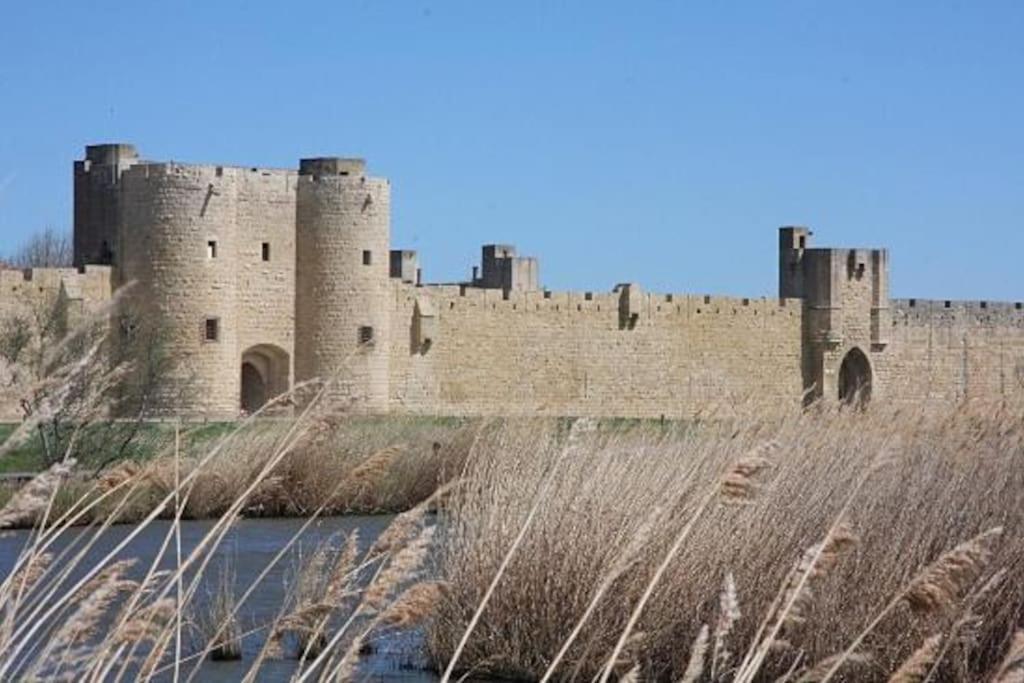 Chambre A 500 M Des Remparts Aigues-Mortes Εξωτερικό φωτογραφία